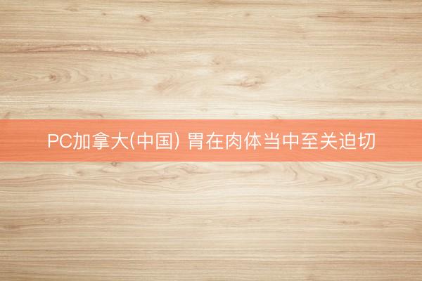 PC加拿大(中国) 胃在肉体当中至关迫切