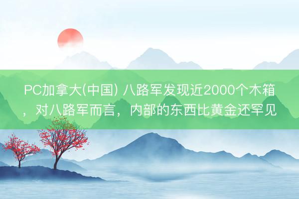 PC加拿大(中国) 八路军发现近2000个木箱，对八路军而言，内部的东西比黄金还罕见