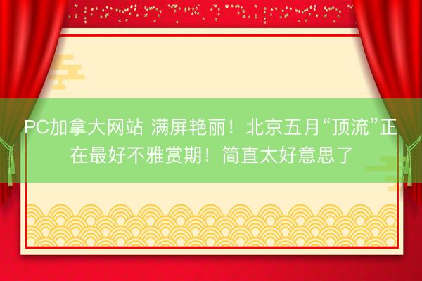 PC加拿大网站 满屏艳丽！北京五月“顶流”正在最好不雅赏期！简直太好意思了