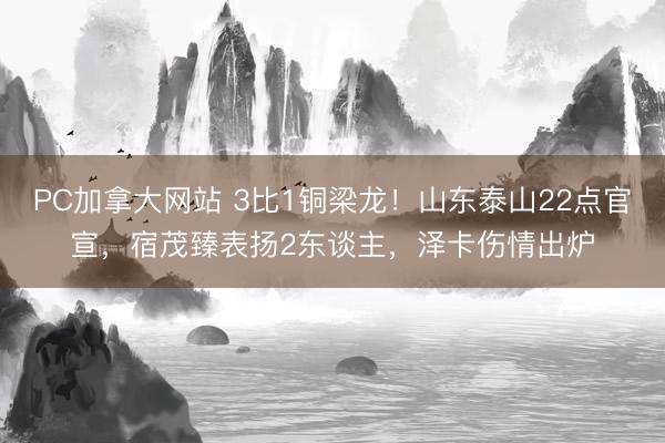 PC加拿大网站 3比1铜梁龙!山东泰山22点官宣,宿茂臻表扬2东谈主,泽卡伤情出炉