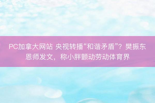 PC加拿大网站 央视转播“和谐矛盾”？樊振东恩师发文，称小胖颤动劳动体育界