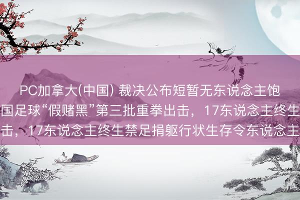 PC加拿大(中国) 裁决公布短暂无东说念主饱读掌只消奉告泄露，中国足球“假赌黑”第三批重拳出击，17东说念主终生禁足捐躯行状生存令东说念主警觉