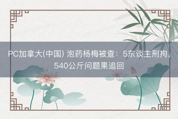 PC加拿大(中国) 泡药杨梅被查：5东谈主刑拘，540公斤问题果追回
