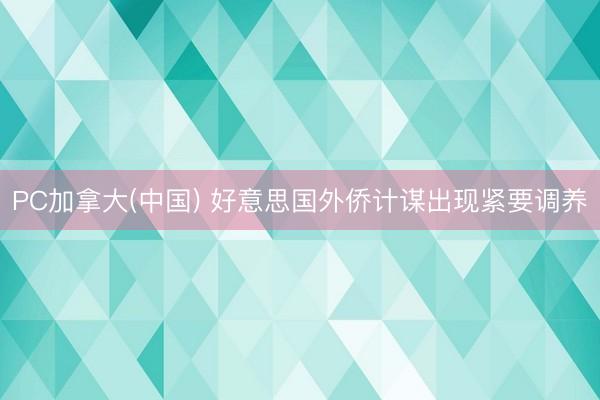 PC加拿大(中国) 好意思国外侨计谋出现紧要调养
