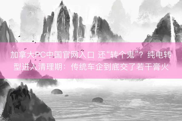 加拿大PC中国官网入口 还“转个鬼”？纯电转型进入清理期：传统车企到底交了若干膏火