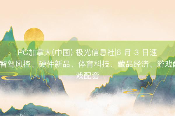 PC加拿大(中国) 极光信息社|6 月 3 日速报: 智驾风控、硬件新品、体育科技、藏品经济、游戏配套