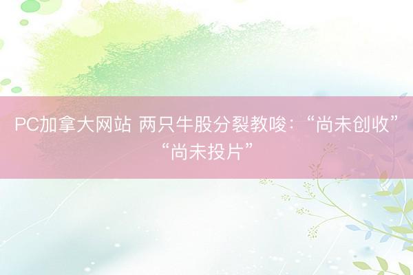 PC加拿大网站 两只牛股分裂教唆：“尚未创收”“尚未投片”
