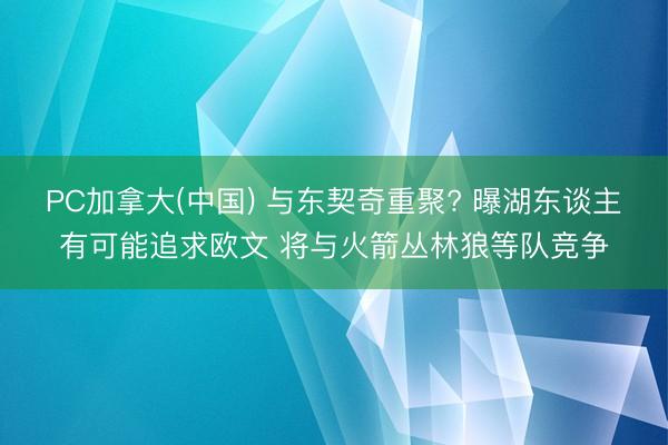 PC加拿大(中国) 与东契奇重聚? 曝湖东谈主有可能追求欧文 将与火箭丛林狼等队竞争