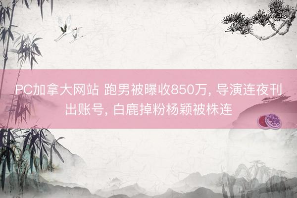 PC加拿大网站 跑男被曝收850万， 导演连夜刊出账号， 白鹿掉粉杨颖被株连