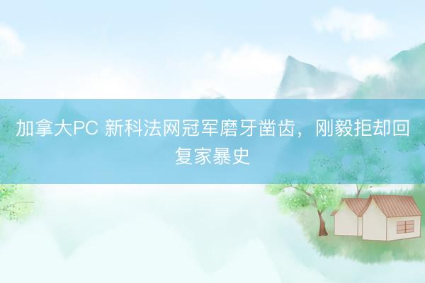 加拿大PC 新科法网冠军磨牙凿齿，刚毅拒却回复家暴史