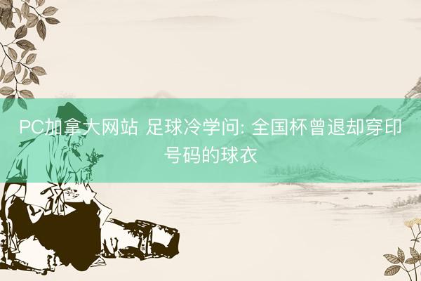 PC加拿大网站 足球冷学问: 全国杯曾退却穿印号码的球衣
