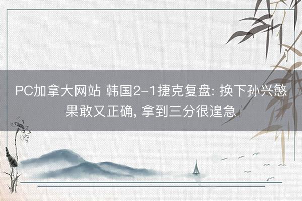 PC加拿大网站 韩国2-1捷克复盘: 换下孙兴慜果敢又正确, 拿到三分很遑急
