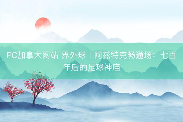 PC加拿大网站 界外球｜阿兹特克畅通场：七百年后的足球神庙