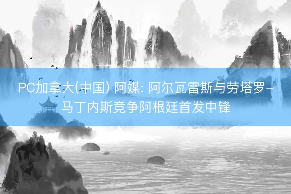 PC加拿大(中国) 阿媒: 阿尔瓦雷斯与劳塔罗-马丁内斯竞争阿根廷首发中锋