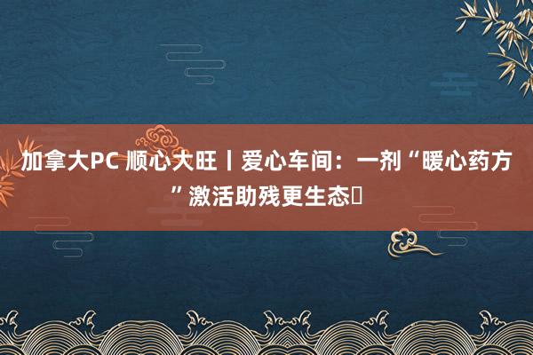 加拿大PC 顺心大旺丨爱心车间：一剂“暖心药方”激活助残更生态‌