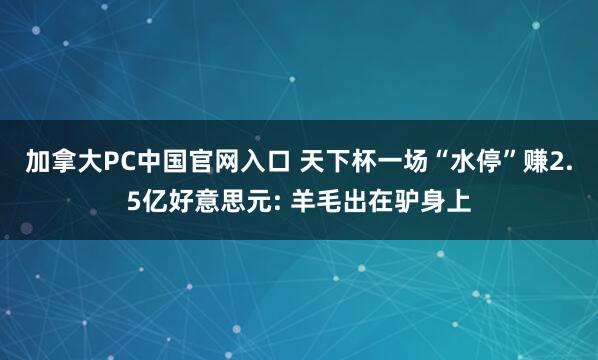 加拿大PC中国官网入口 天下杯一场“水停”赚2.5亿好意思元: 羊毛出在驴身上