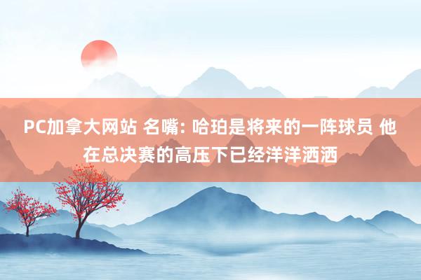 PC加拿大网站 名嘴: 哈珀是将来的一阵球员 他在总决赛的高压下已经洋洋洒洒